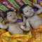 Silicone Premature HINDU Twins 