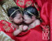 Silicone Premature HINDU Twins 